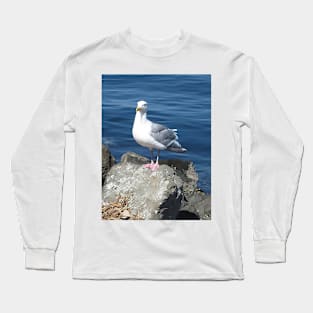 Bird With An Attitude Long Sleeve T-Shirt